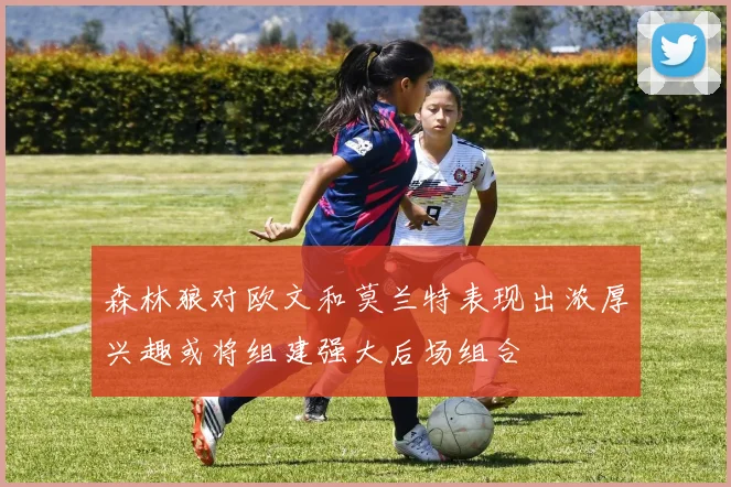 森林狼对欧文和莫兰特表现出浓厚兴趣或将组建强大后场组合