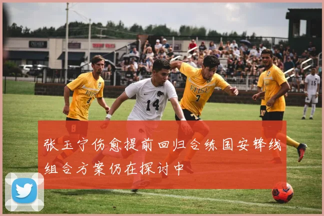 张玉宁伤愈提前回归合练国安锋线组合方案仍在探讨中